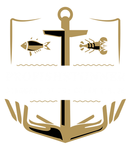 profishstunner logo-02.png